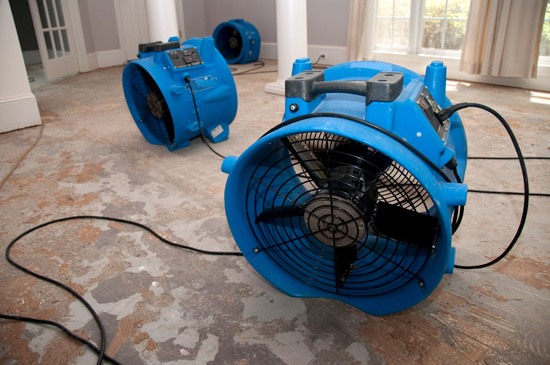 Industrial Size Fan for Drying Floors