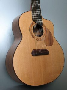 Wagner Meters Wood Shop Custom 9-string Guitar