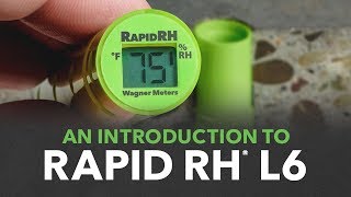 Rapid RH L6: Green Is the New Orange